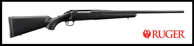 Ruger 10/22 Takedown Rifle